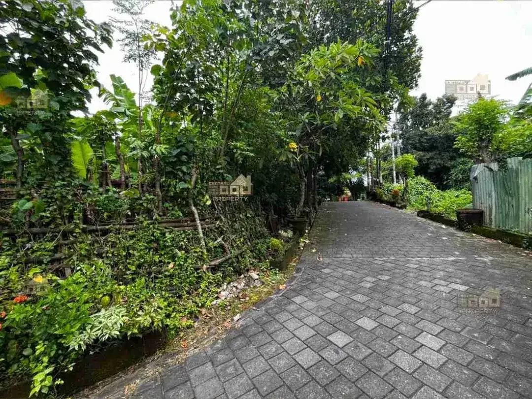 Lahan Komersial Premium di Renon – Lokasi Super Strategis - Image 10 of 10