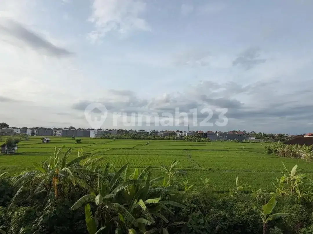 For Sale Rumah View Sawah Siap Huni Dekat Sanur Bali - Image 3 of 10