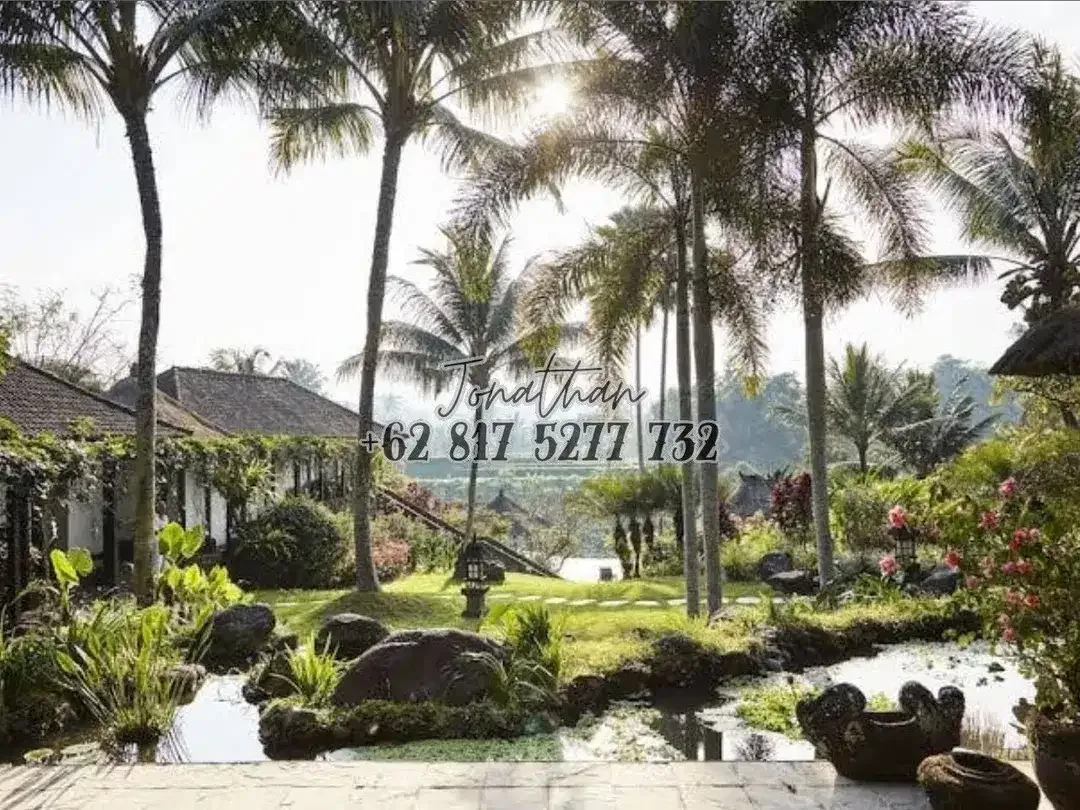 VILLA MEWAH VIEW GUNUNG DAN HUTAN LAHAN LUAS DI PERBATASAN PAYANGAN UBUD - VSRE - Image 3 of 10