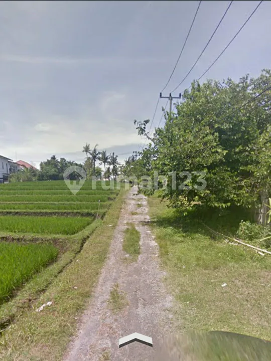River Side Land In Nuanu Nyanyi Beach Tabanan - Image 4 of 4