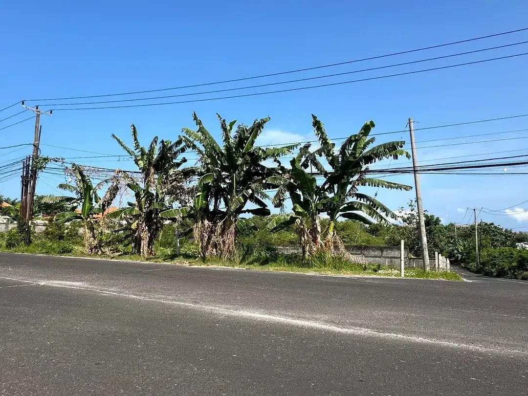 Dijual Tanah 1000m2 Premium Jalan Utama Nusa Dua Selatan - Image 1 of 9