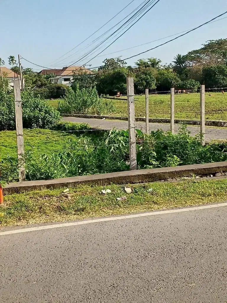 Dijual Tanah Dekat Pantai Jalan Utama Canggu - Image 8 of 8