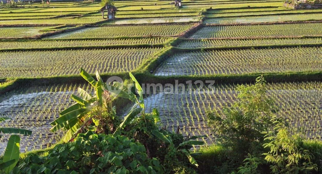 V340rumah Hook 3Kt Parkir 3 Mobil 5 Menit Diatmika - Image 3 of 4
