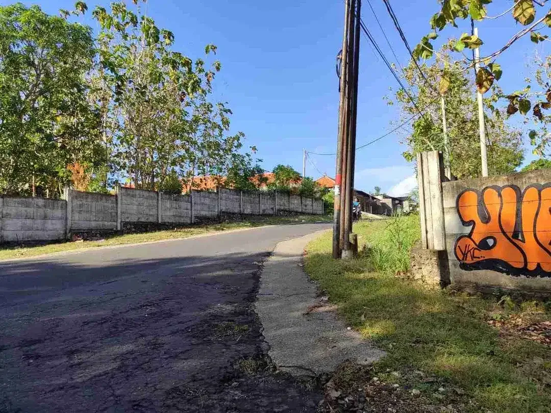 Tanah Murah 4.653m² Akses Jalan Besar Jimbaran - Image 8 of 10