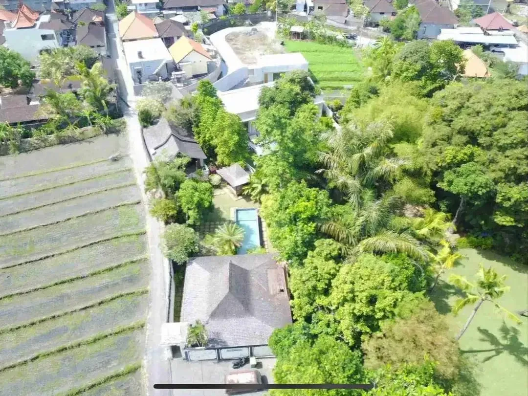 Jual Cepat! Tanah Premium 6.5 Are dekat Sensorium Canggu Bali - Image 1 of 10