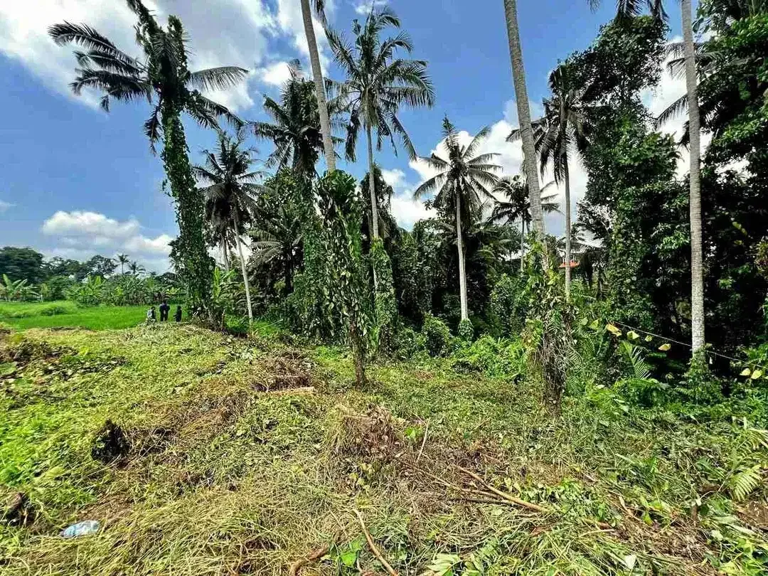 tanah bagus cocok untuk bangun villa - Image 5 of 8
