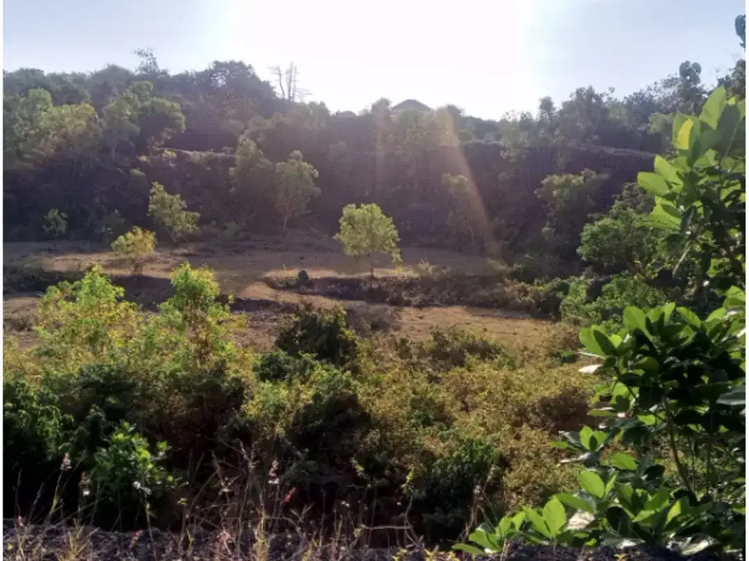 Land For Rent at Pecatu - Image 6 of 10