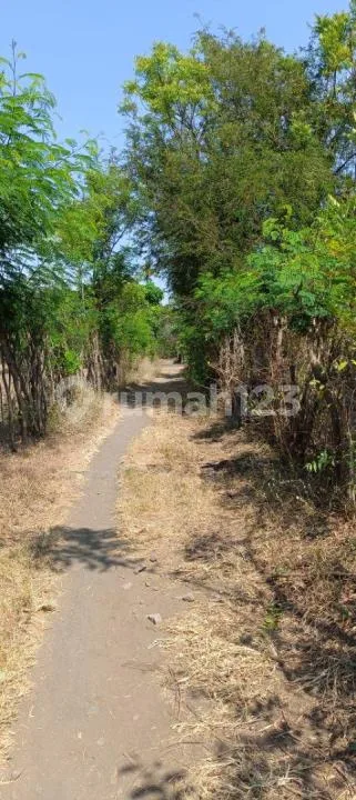 For Sale Land 12 Are With Fantastic Moutain View And Close To The Beach In Pemuteran - Image 3 of 4