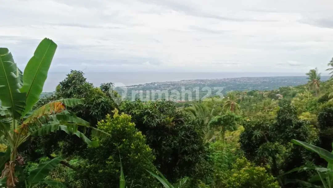 For Sale Fendal Ocean View Villa 3 Bedroom In Lovina With Fantastic View - Image 4 of 4