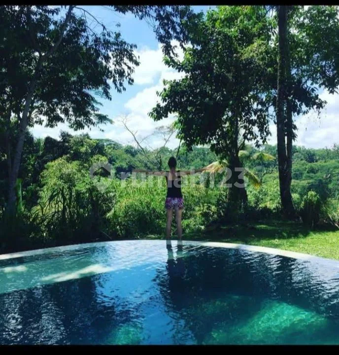 Villa Luas Ada Pool View Alam Strategis Dekat Wisata Tegallalang - Image 4 of 4