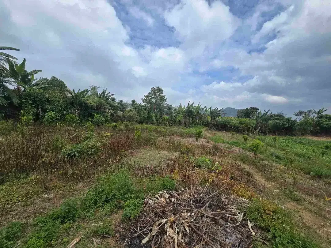 Dijual tanah kecil di.lingkungan villa kintamani bali - Image 6 of 10