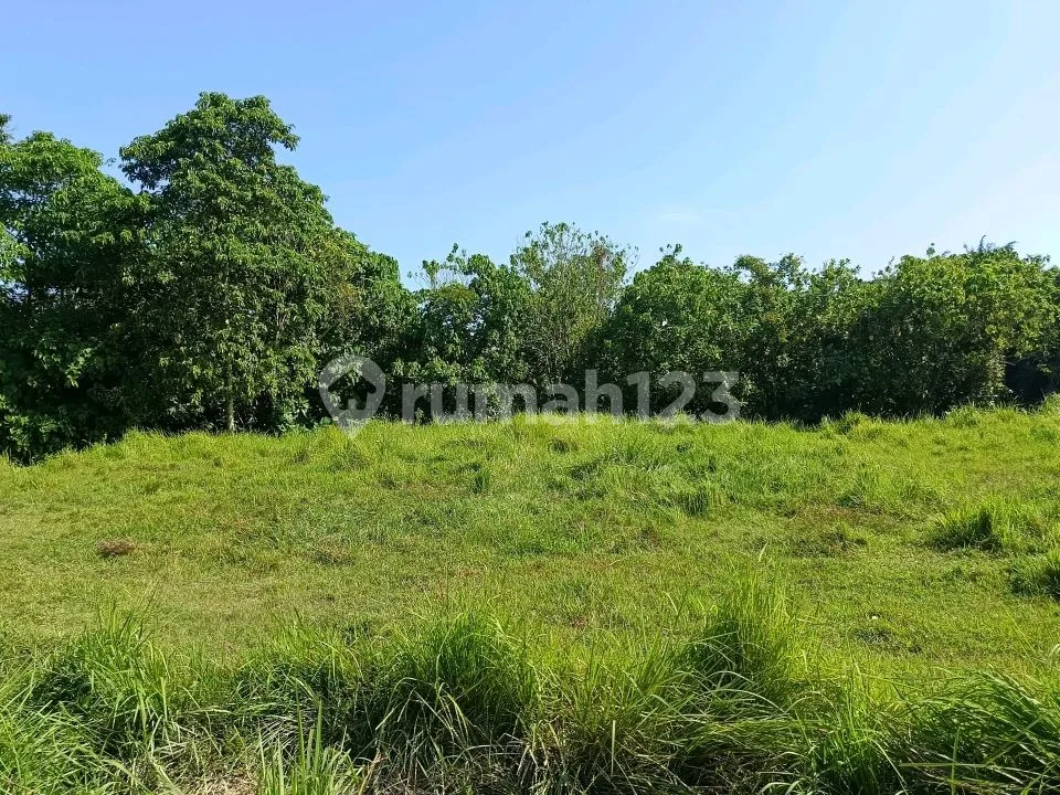 Tanah Cocok untuk Gudang di Ketewel Gianyar - Image 1 of 4