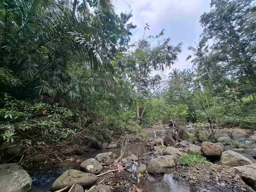 Dijual tanah kebun los sungai lokasi sangat strategis dekat dengan fasilitas umum dan tempat wisata di tabanan bali - Image 2 of 10