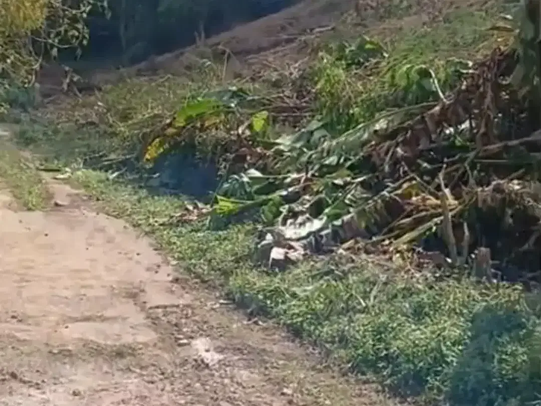 Land for sale in Baturiti, Bali - Image 5 of 6