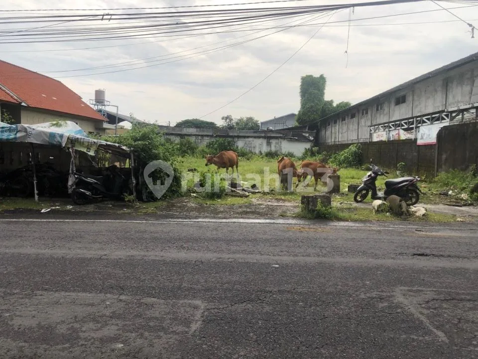 Tanah Strategis 1.680 M2 di Muding Kerobokan Badung - Image 2 of 4