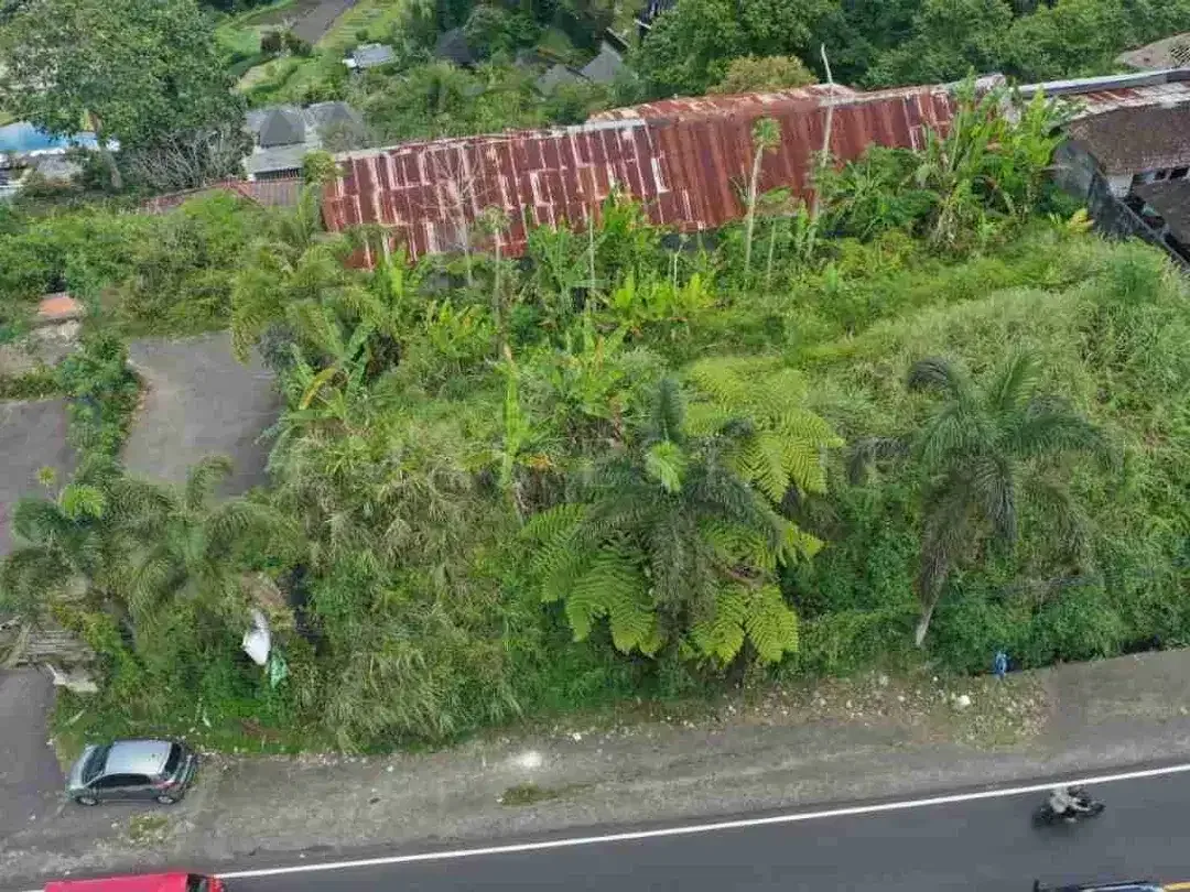 Tanah 6 Are Dijual di Baturiti, Dekat HOMM Saranam & Bali Handara Golf - Image 4 of 9