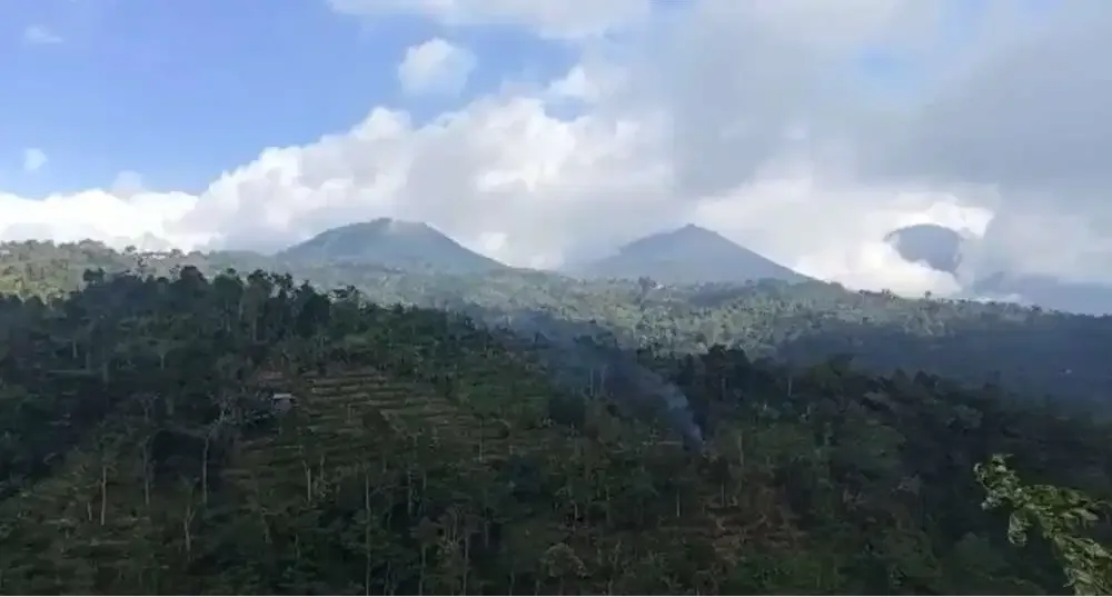 DIJUAL TANAH AIR TERJUN DAN MATA AIR BULELENG - Image 4 of 5