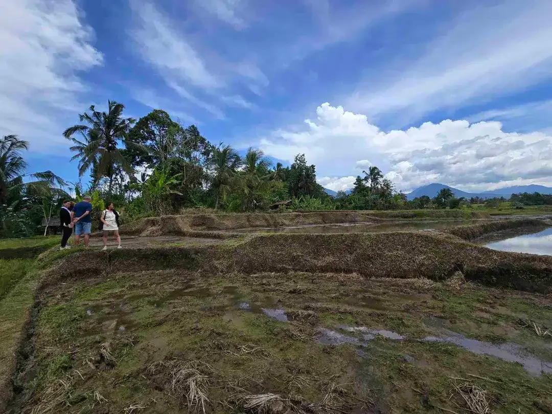Dijual tanah murah view gunung sawah dan laut di tabanan bali - Image 7 of 9