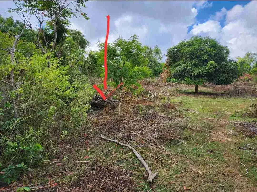 DIJUAL TANAH LUAS 2,34 HEKTAR DI KAWASAN AYANA JIMBARAN KUTA SELATAN BALI - Image 5 of 10