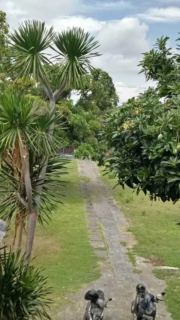 Dijual Tanah Strategis di Batu Belig–Lokasi Premium di Tengah Seminyak - Image 4 of 7
