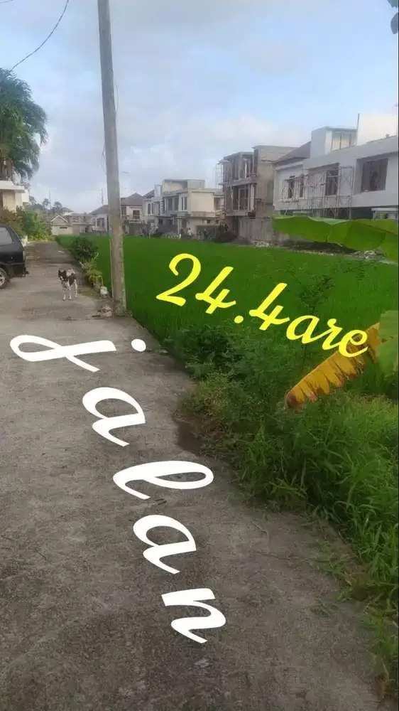 DIJUAL TANAH LINGKUNGAN VILLA DEKAT PANTAI CEMAGI - Image 1 of 4