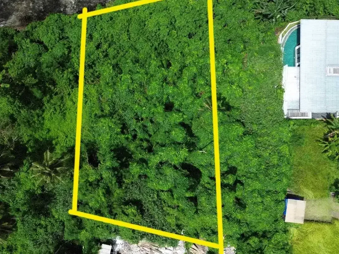 Land for sale in Sukawati, Bali - Image 3 of 6