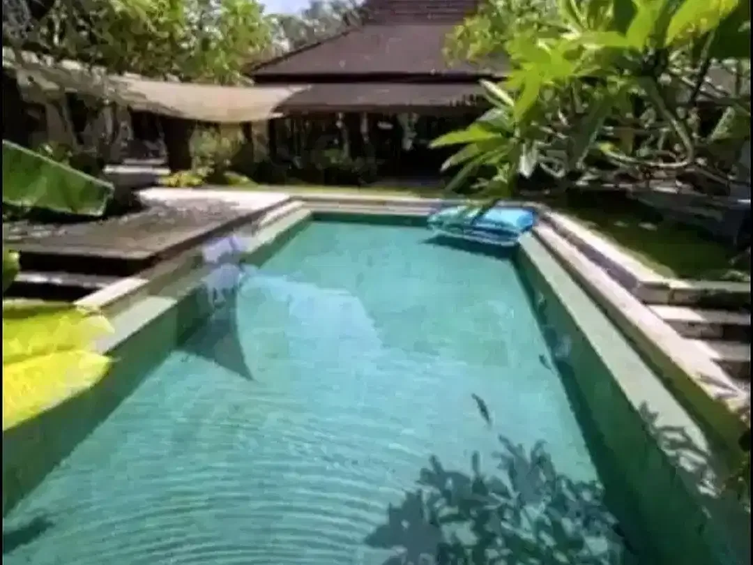 Tanah MURAH Bonus Joglo Umalas Kerobokan - Image 9 of 10
