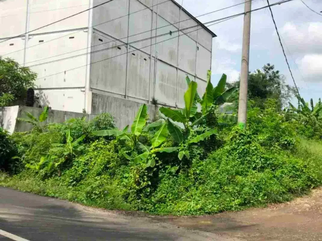 Dijual Lahan & Bangunan Pabrik di Tabanan, Bali - Image 3 of 9
