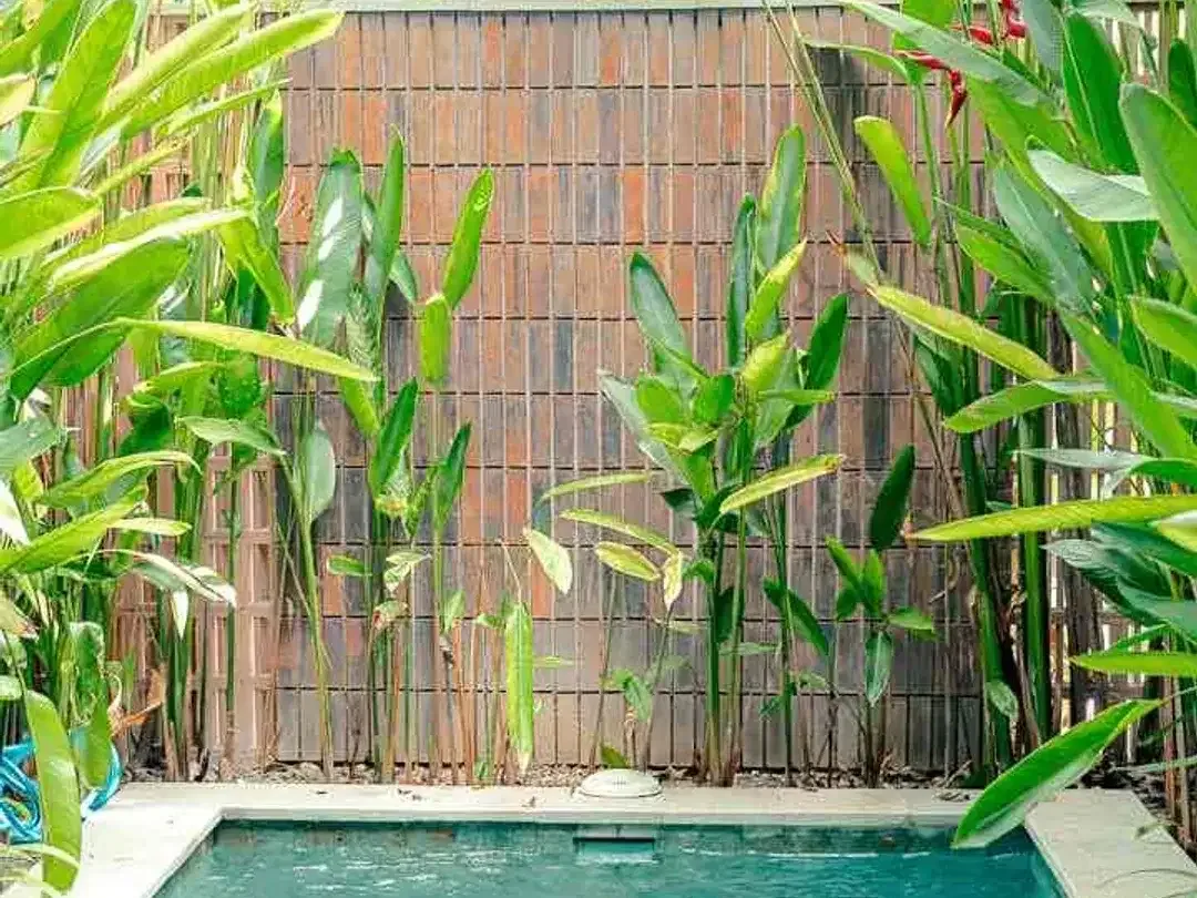 Leasehold / Freehold Villa in Batu Bolong, Canggu - Image 4 of 8