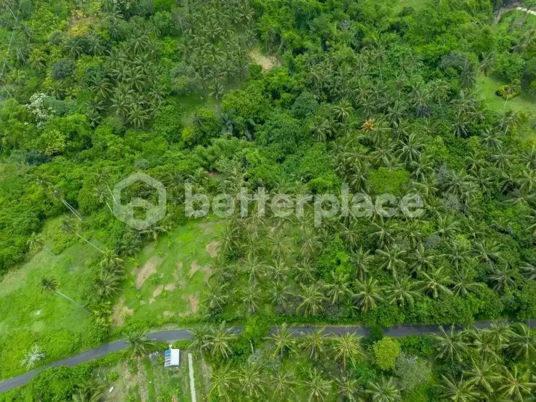 Prestigious 23.9 are Freehold Jungle Land in Balian – A Rare Investment Opportunity Blending Natural Serenity with Coastal Elegance - Image 9 of 10