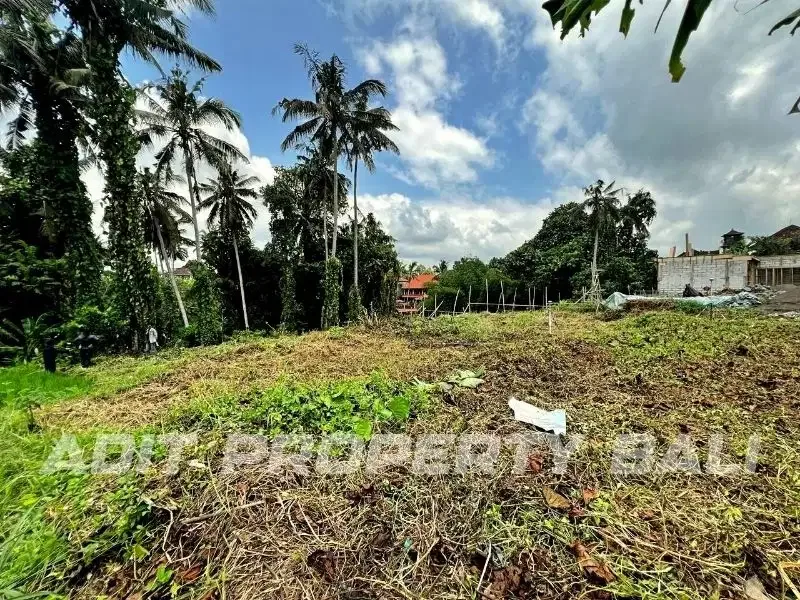 Tanah Los Sungai Tirta Tawar Ubud Gianyar Bali - Image 8 of 10