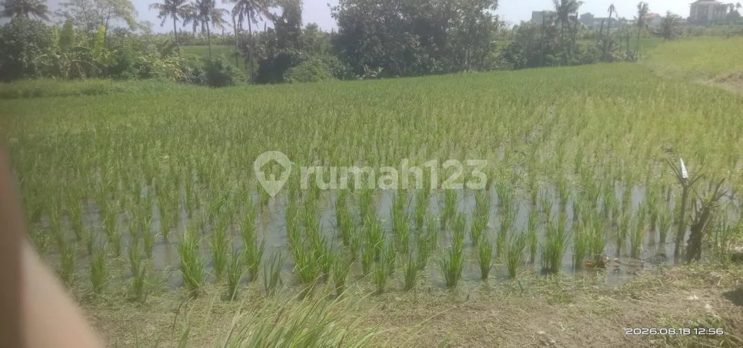 Tanah Jual Lokasi Munggu - Image 1 of 2