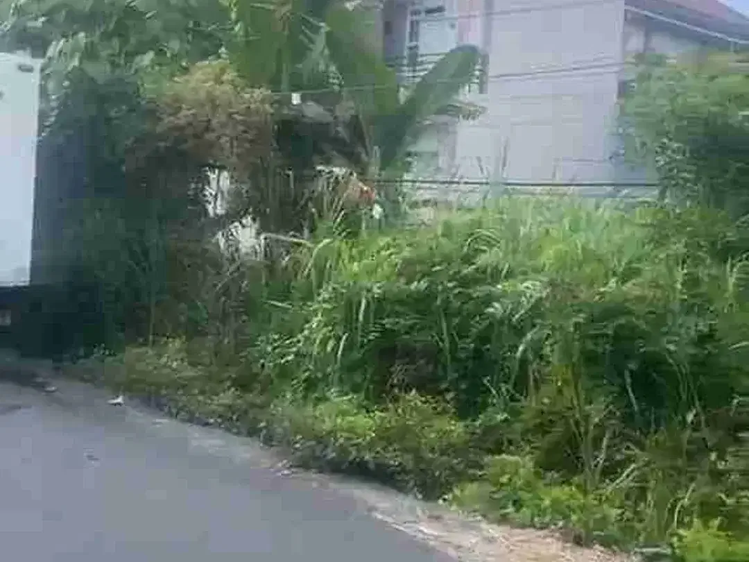 Tanah Hook Drupadi Renon Lingkungan Rumah Mewah - Image 7 of 7