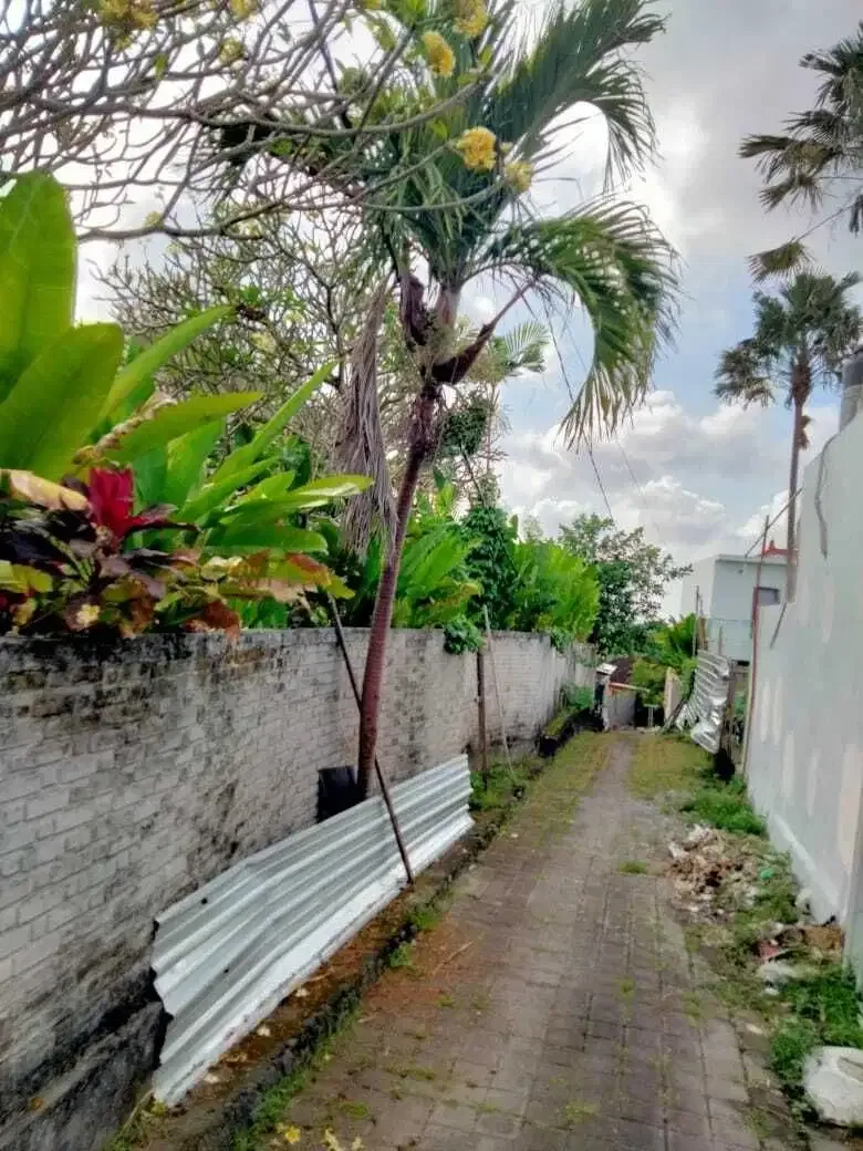 Tanah Strategis Lokasi Premium di Canggu Bali - Image 3 of 4
