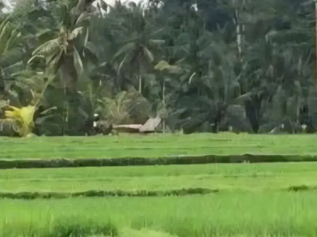 TANAH STRATEGIS LOD TUNDUH UBUD - Image 2 of 10