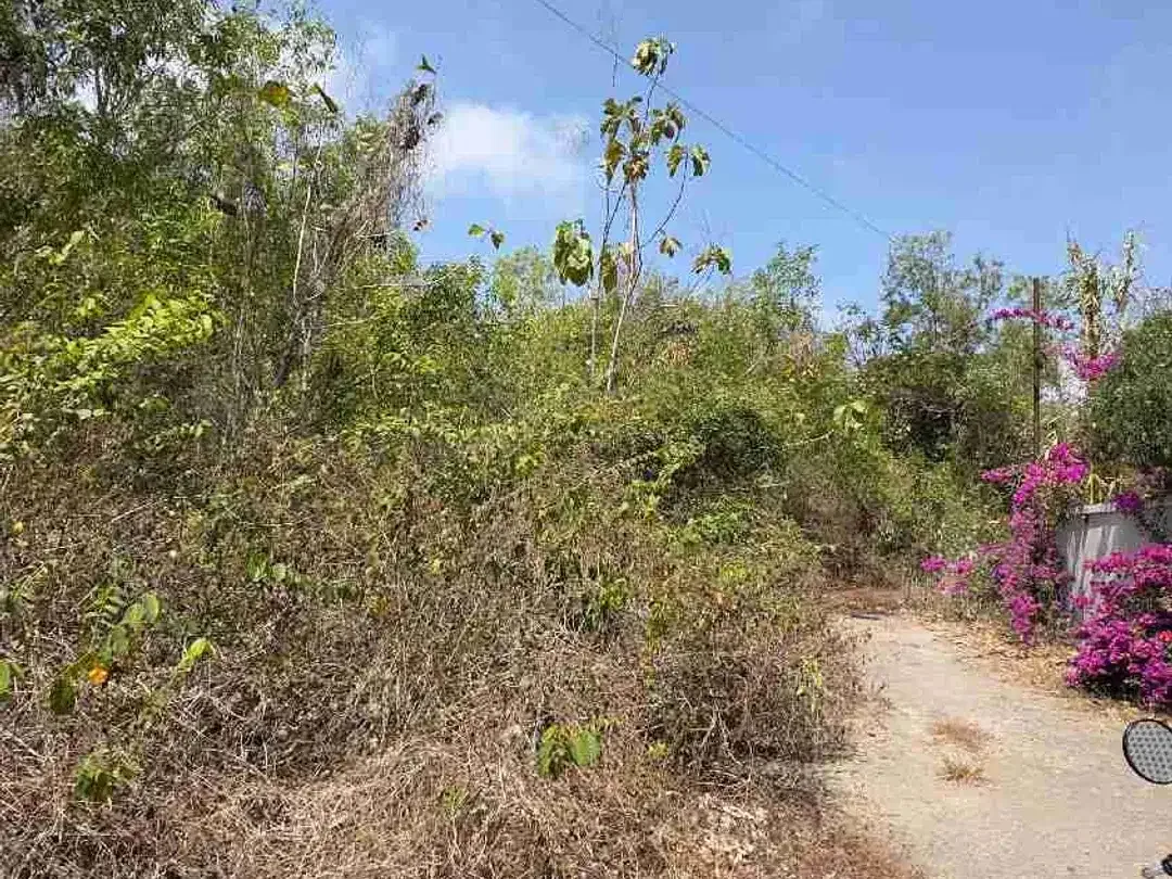 Dijual Tanah 100m2 Ungasan Dekat Melasti - Image 6 of 8