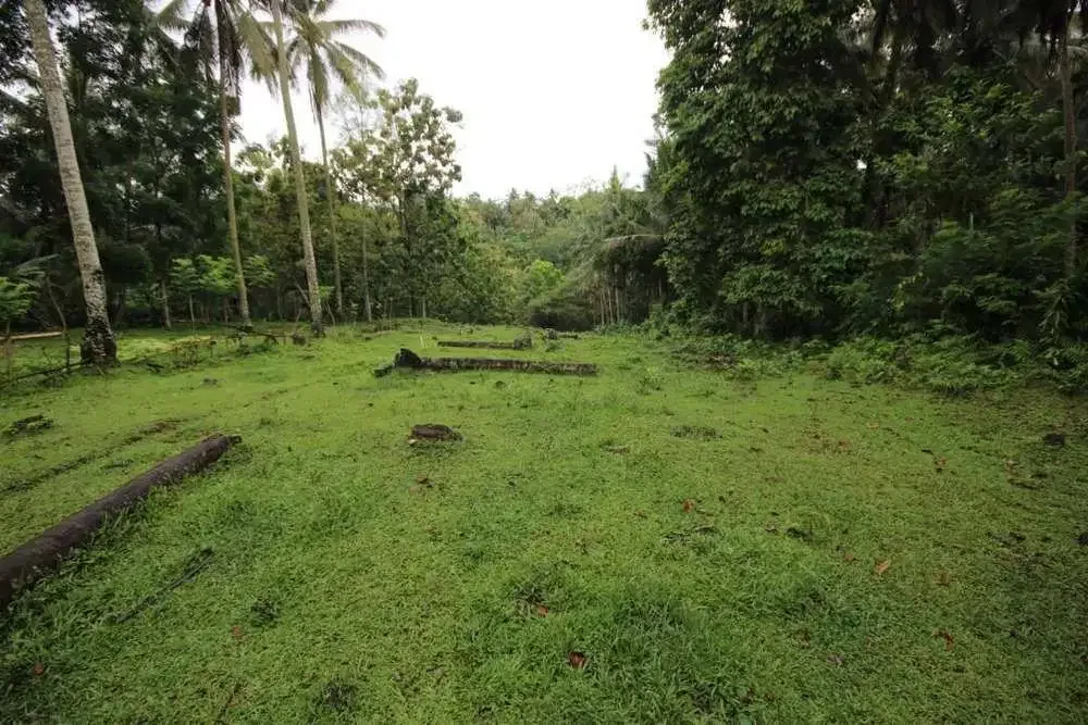 DIJUAL TANAH KEBUN COCOK UNTUK PERUMAHAN - Image 1 of 7