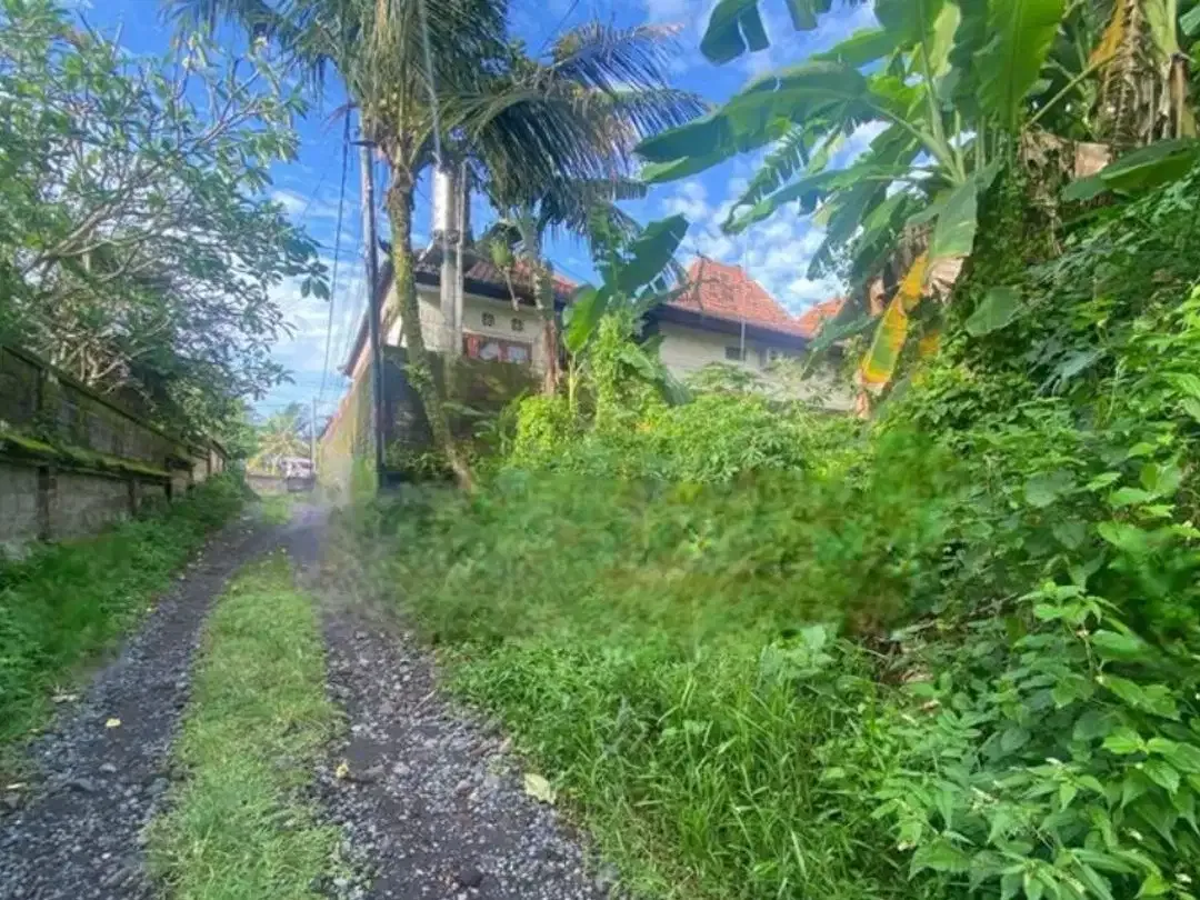 Tanah Pemukiman Dekat Wood School di Pejeng- Ubud Area - Image 2 of 9