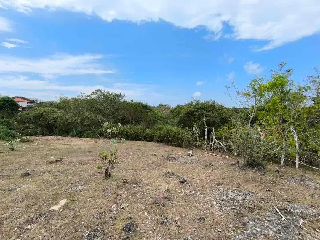 Dijual tanah murah view laut lokasi pandawa zona pariwisata - Image 3 of 4