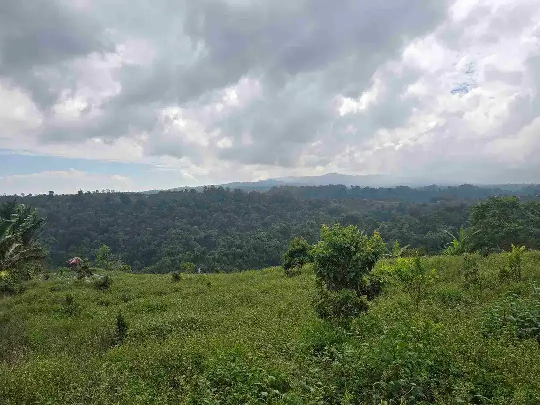 Dijual tanah view lembah sangat cantik di kintamani bali - Image 1 of 10