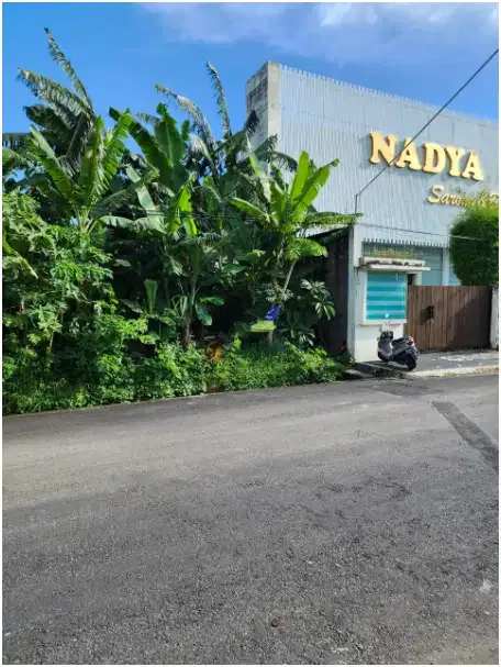 Tanah 2 Are di Seminyak - Image 2 of 7
