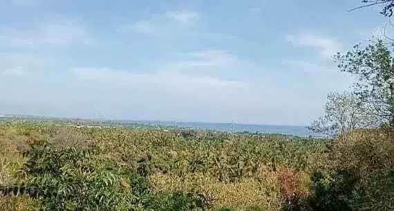 Dijual Tanah View Laut dan Sunset di Temukus Buleleng - Image 3 of 5