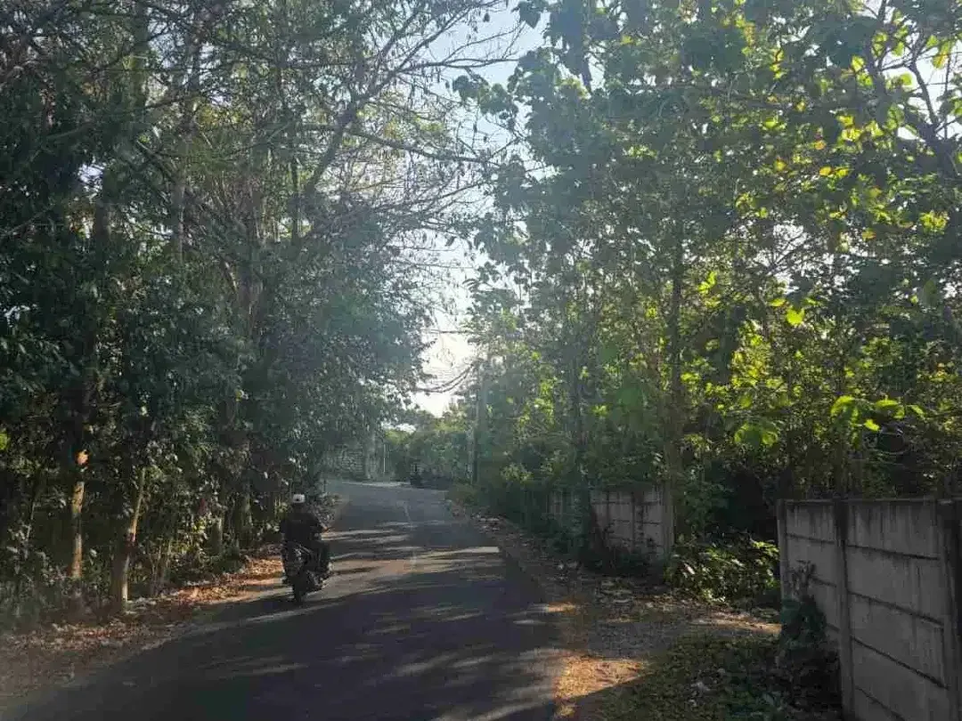 Tanah ungasan jimbaran - Image 4 of 9