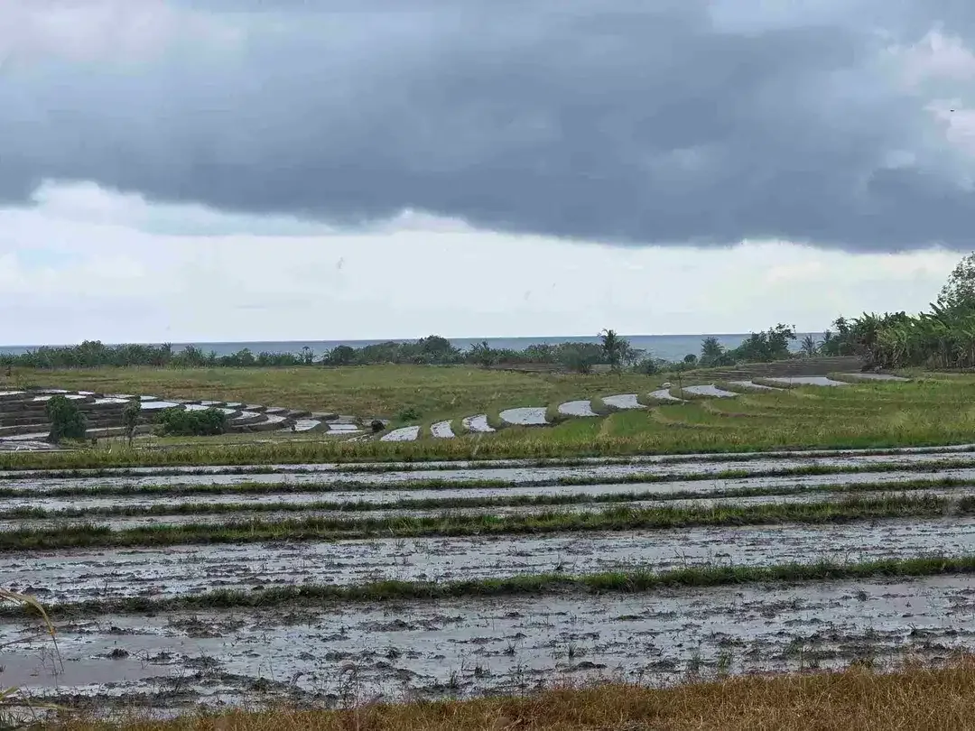 dijual tanah view laut sawah di tabanan bali - Image 5 of 10