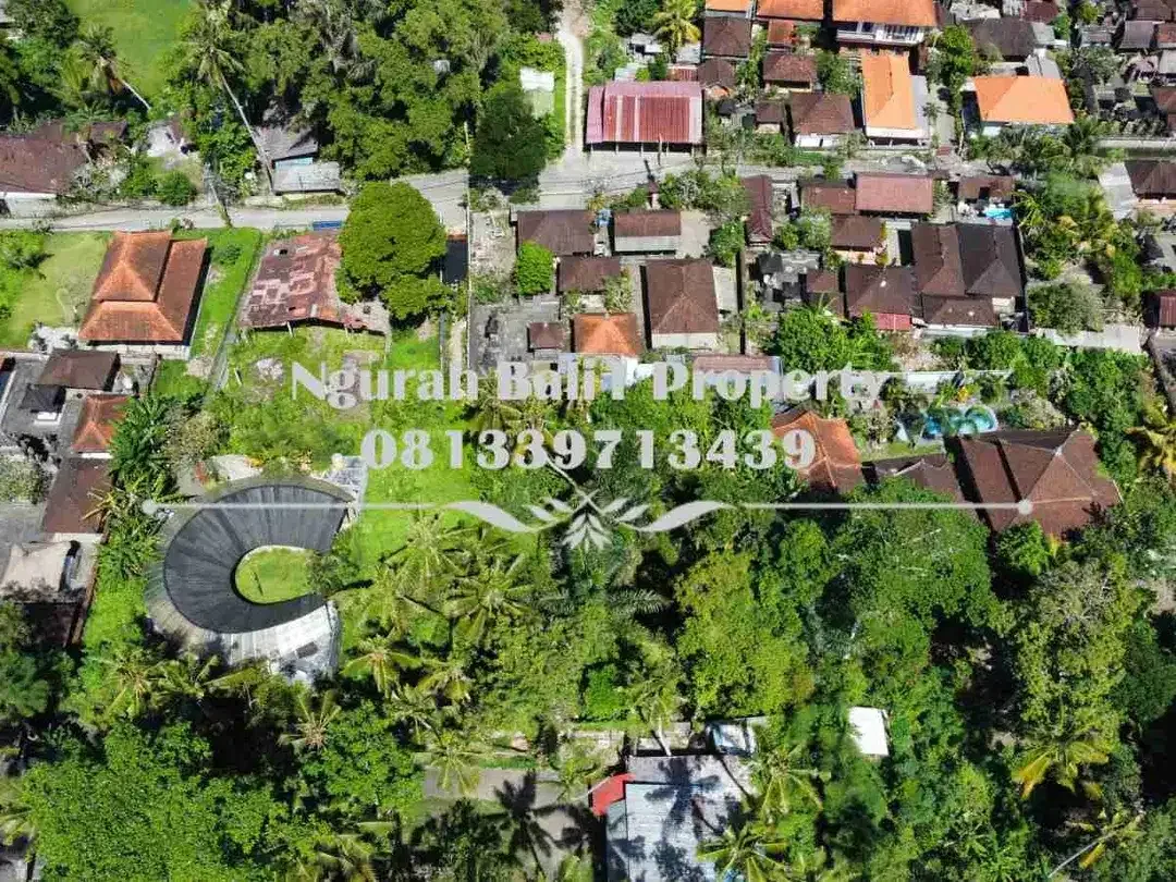 Tanah Premium Disewakan Luas 16,35 Are Kawasan Villa Lokasi Deket Pelangi School Ubud - Image 4 of 8