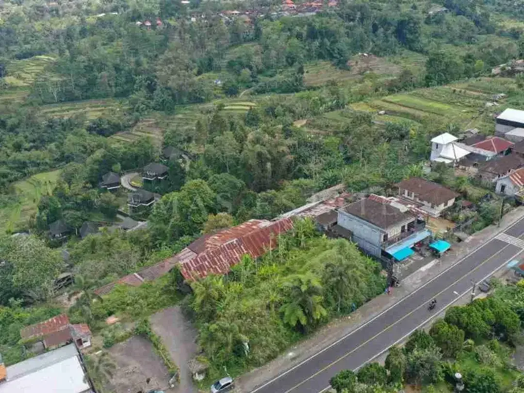 Tanah 6 Are Dijual di Baturiti, Dekat HOMM Saranam & Bali Handara Golf - Image 3 of 9