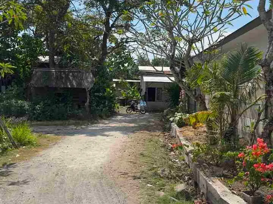 Dijual Super Murah Tanah 150m2 Di Jimbaran Dekat Imigrasi - Image 4 of 8