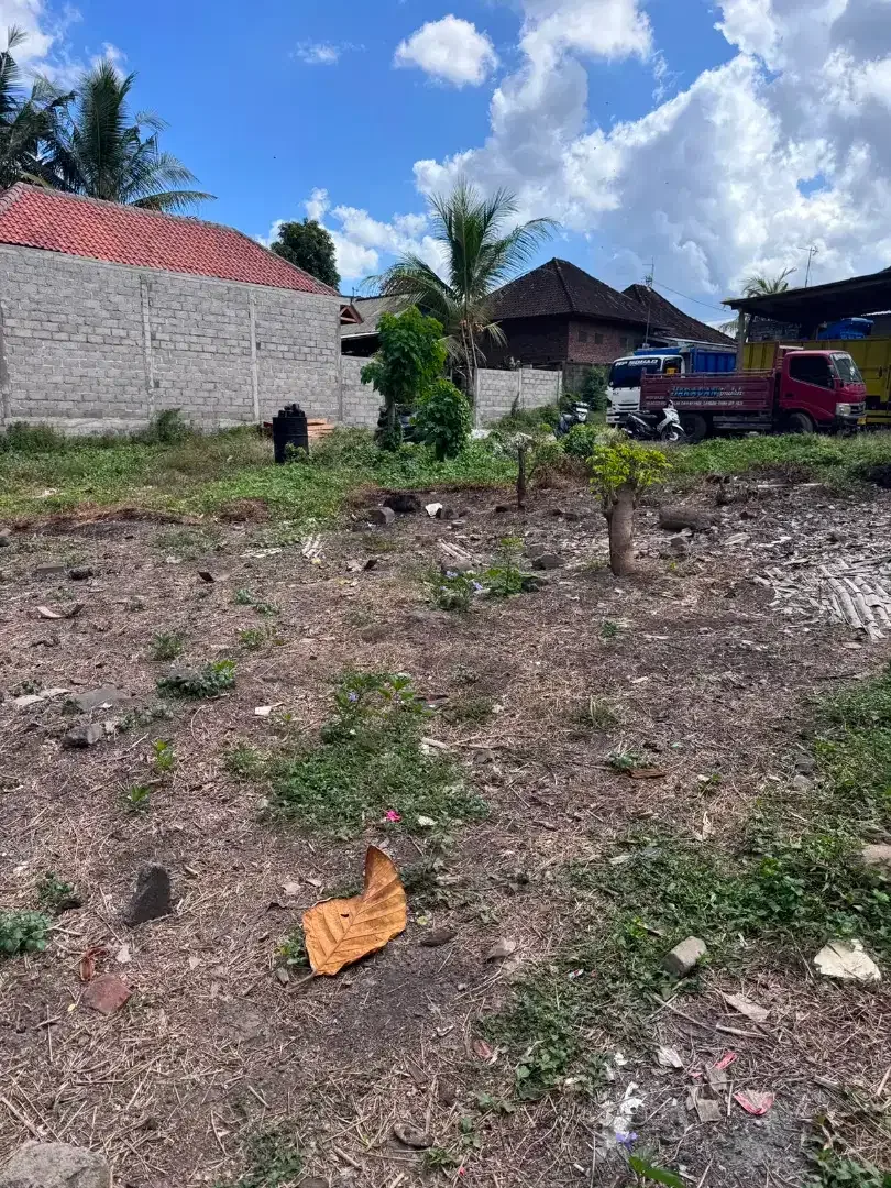 20 mnit to Canggu Pererenan - Image 1 of 7