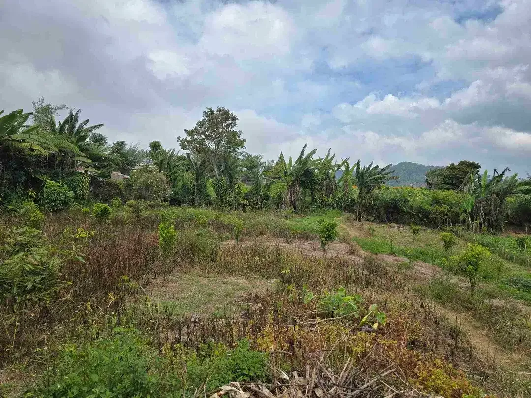 Dijual tanah kecil di.lingkungan villa kintamani bali - Image 7 of 10