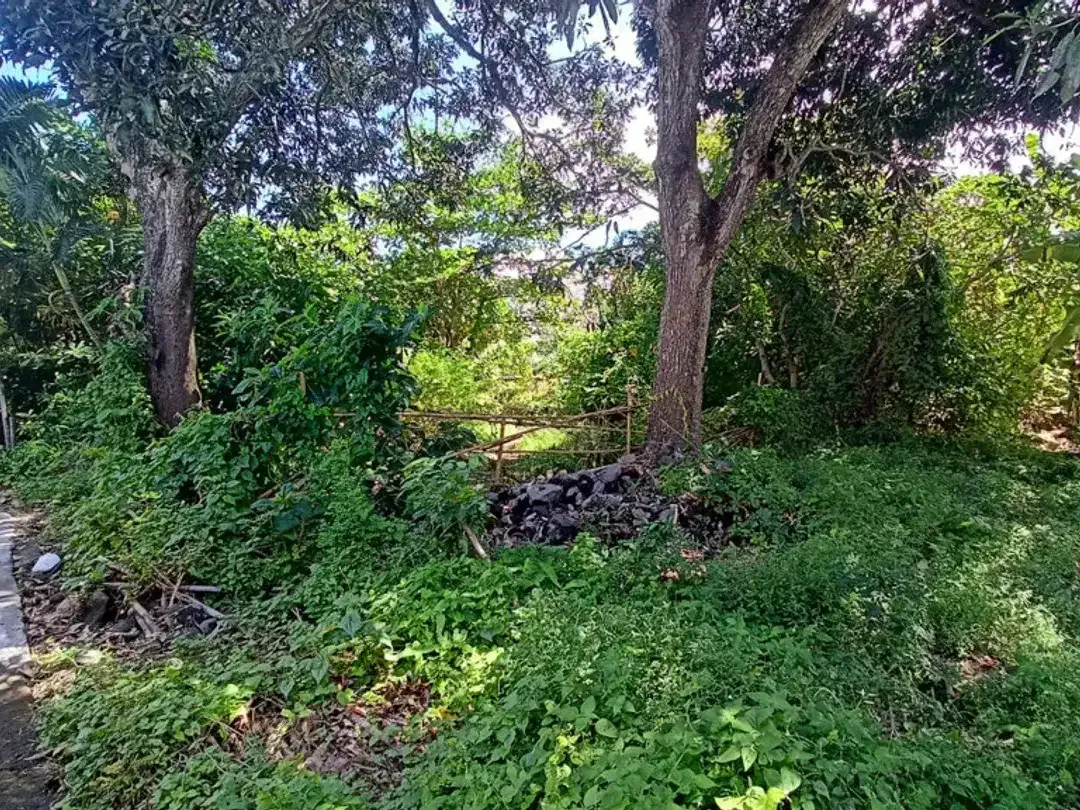 Leasehold - Prime 1300 sqm Leasehold Land in Umalas, Bali - Image 3 of 5